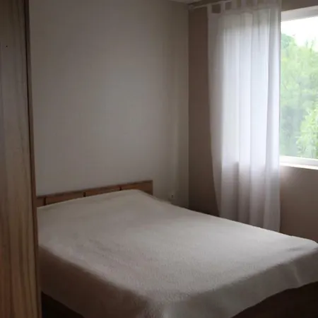 Complex Ruzh Апартамент *